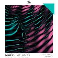VA - Tones & Melodies Vol. 17 VMCOMP1055