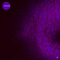 VA - Just Buzzed [Obazda]