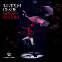 Tantrum Desire - Guided Rhythm album artwork
