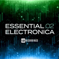 VA - Electronica Selections, Vol. 02 [LW Recordings]