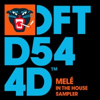 Melé & Shovell - Pasilda album artwork
