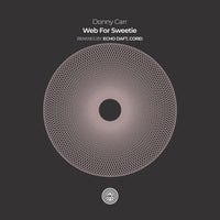 Donny Carr - Web For Sweetie (ECHO DAFT Remix) album artwork