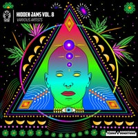 VA - Hidden Jams Vol. 8 [TNCRHJ08]