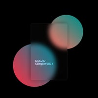 VA - Melodic Sampler Vol. 1 [Thin Records]