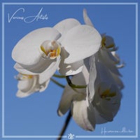 VA - VA Sampler - Harmonic Series [A Soul On Board]