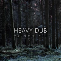 VA - Heavy Dub, Vol. 7 [Cold Tear Records]