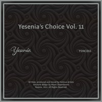 VA - Yesenia's Choice Vol. 11 YSNC011