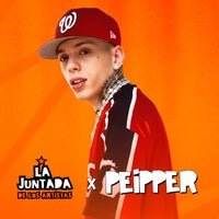 Peipper, Jombriel & PEDRO SAMPAIO - Si Las Gatas Se Amotinan (feat. DobleP) [Remix] album artwork
