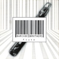 Barcode Brothers - Flute (Extended Version) album artwork