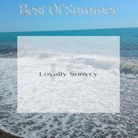 VA - Best of Summer [Loyalty Survey]