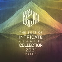 VA - The Best of Intricate 2021 Collection, Pt. 1 [Intricate Records]