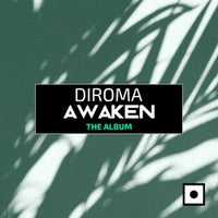 Diroma - I Want to Get Drunk (Tony Puccio Remix) album artwork