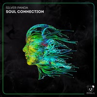 Silver Panda - Soul Connection album artwork