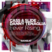 Danny Tenaglia & Cass & Slide - Fever Rising (Baunder Remix) album artwork