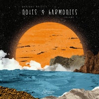 VA - Notes & Harmonies Vol. 7 [VOLTCOMP1123][FLAC]