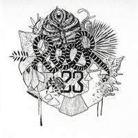 VA - Peer23 [Laber Nicht Records]
