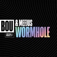 Bou & Mefjus - Wormhole album artwork
