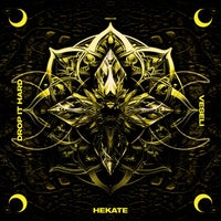 Veseli - Drop It Hard album artwork