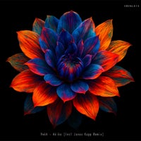 Vekh - Akiko album artwork