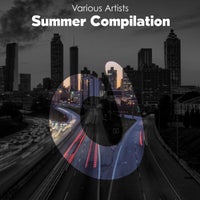 VA - Summer Compilation DG390