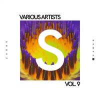 VA - Shaman Records Vol. 9 [SR097]