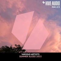 VA - V.A. - Hive Audio Summer Slices 2022 HA123