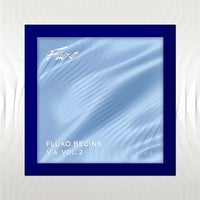 VA - Fluxo Begins 02 [FLX148]