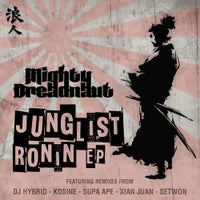The Mighty Dreadnaut - Junglist Ronin (DJ Hybrid Remix) album artwork