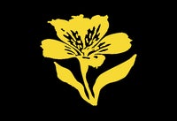 Amancay