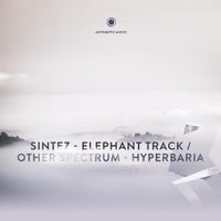 Sintez - Elephant Track album artwork