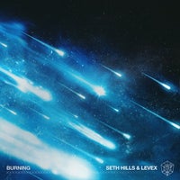 Seth Hills & Levex - Burning album artwork