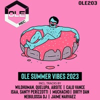 VA - Ole Summer Vibes 2023 [OLE203]
