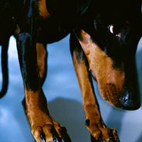 Overmono - Gunk album artwork