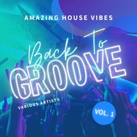 VA - Back to Groove (Amazing House Vibes), Vol. 1 [Weekend Warriors]
