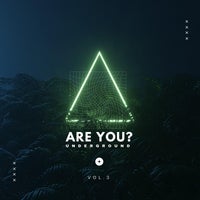 VA - Are You Underground Vol. 3 [Time2Fly Records]