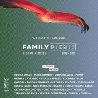 VA - 5 YEARS OF REMIXES - BEST OF FAMILY PIKNIK MUSIC [FPM66]