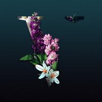 VA - V [TNHX5E]