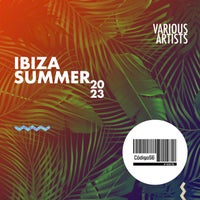 VA - C56 VA Summer Ibiza 2023 036