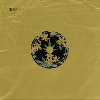 VA - Seed VA Collection [Indica Label]