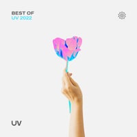 VA - Best of UV 2022 UVDC2022