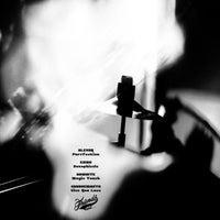 VA - VA010 Unreleases Mixes