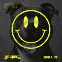 Dub Elements - Ballin' album artwork