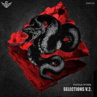 VA - Selections V2 [Black Snake Recordings]