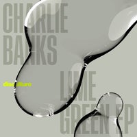 Charlie Banks - New Day album artwork
