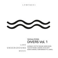 VA - Lake Underground Music Pres. Divers, Vol. 1 [Lake Underground Music]