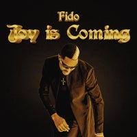 Fido - Joy is Coming album artwork