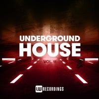 VA - Underground House Vol. 11 [LW Recordings]