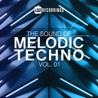 VA - The Sound Of Melodic Techno, Vol. 01 [LWTSOMT01] [FLAC]