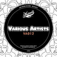 VA - VA012 - (And Friends Records)