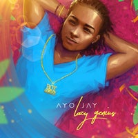 Ayo Jay - The Vibe album artwork